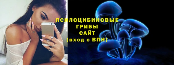 ALPHA-PVP Армянск