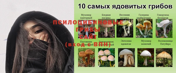 ALPHA-PVP Армянск
