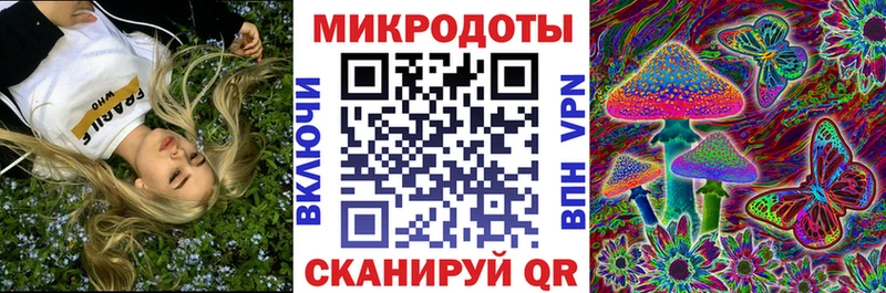 omg   Приозерск  Псилоцибиновые грибы Magic Shrooms 