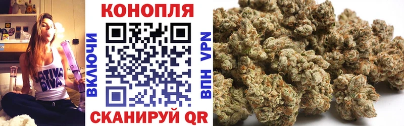 Каннабис гибрид  Приозерск 